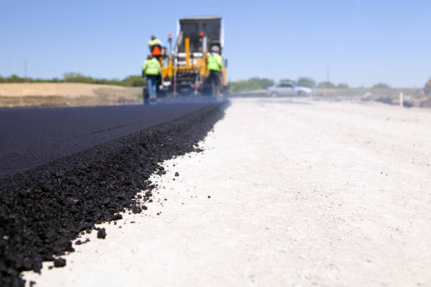 Best Residential Paver Driveway  in Palacios, TX