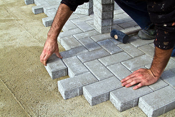 Best Local Driveway Pavers  in Palacios, TX