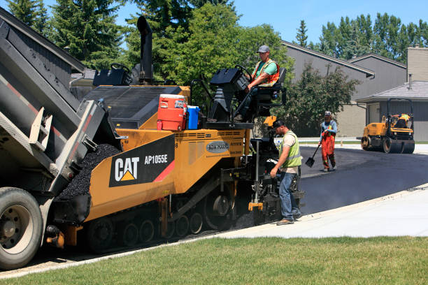 Best Driveway Pavers Near Me  in Palacios, TX